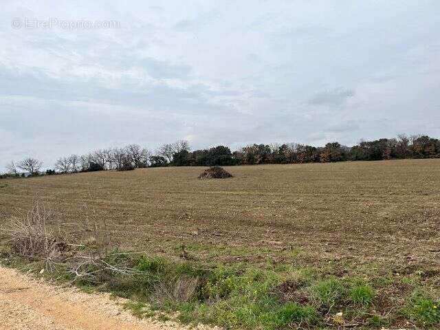 Terrain à SAINT-HILAIRE-D&#039;OZILHAN