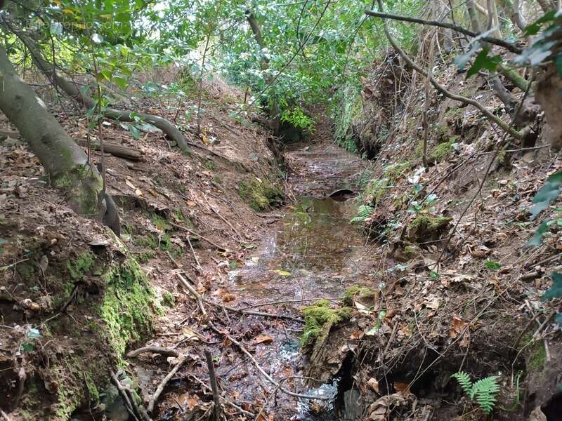  Écolieu en centre bourg - 2,4 ha - Scaër - photo 19