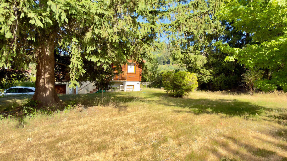 Rare sur le secteur ? situation dominante ? Commune de Saales - photo 8