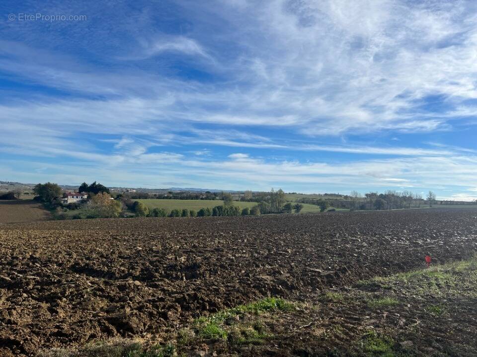 Terrain à VILLEFRANCHE-DE-LAURAGAIS