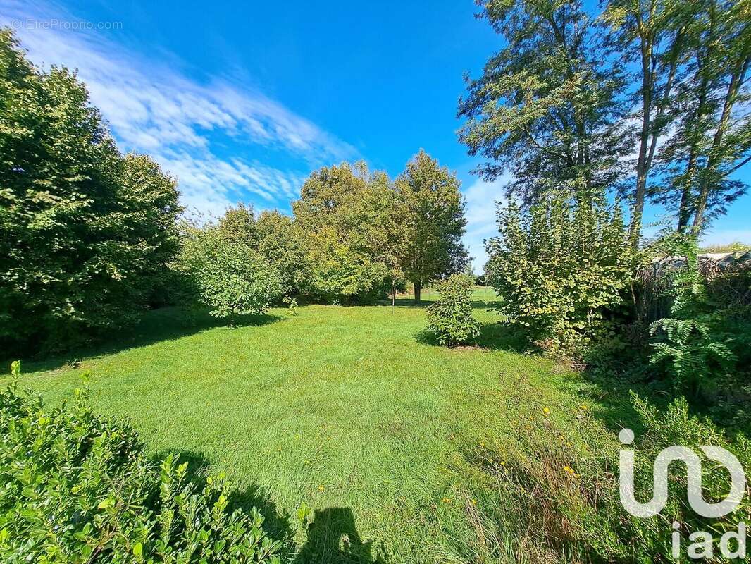 Photo 8 - Maison à SAVIGNE-SUR-LATHAN