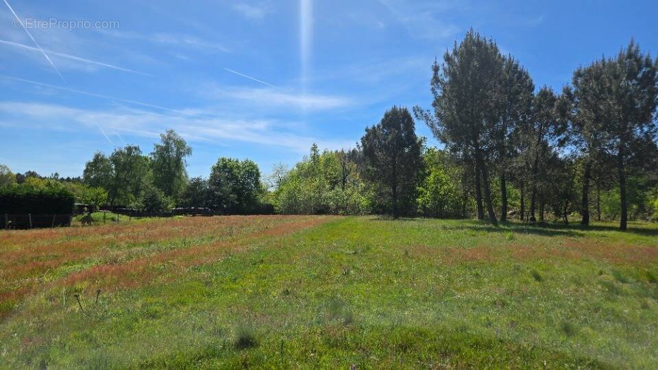 Terrain à AUBIE-ET-ESPESSAS