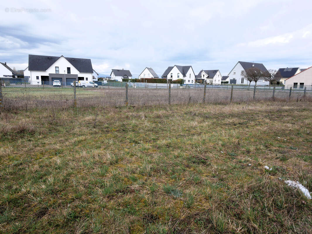 Terrain à HIRTZFELDEN