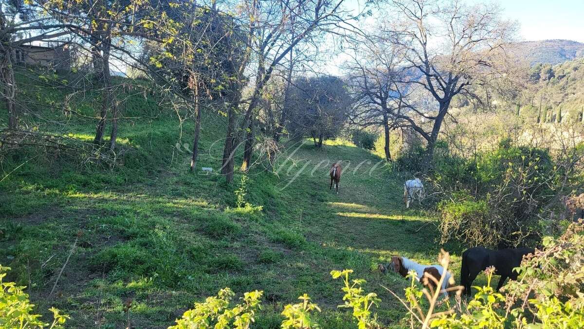 Terrain à CONTES