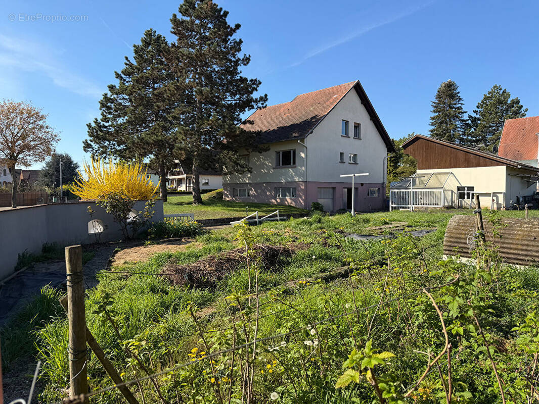 Maison à KRAUTERGERSHEIM
