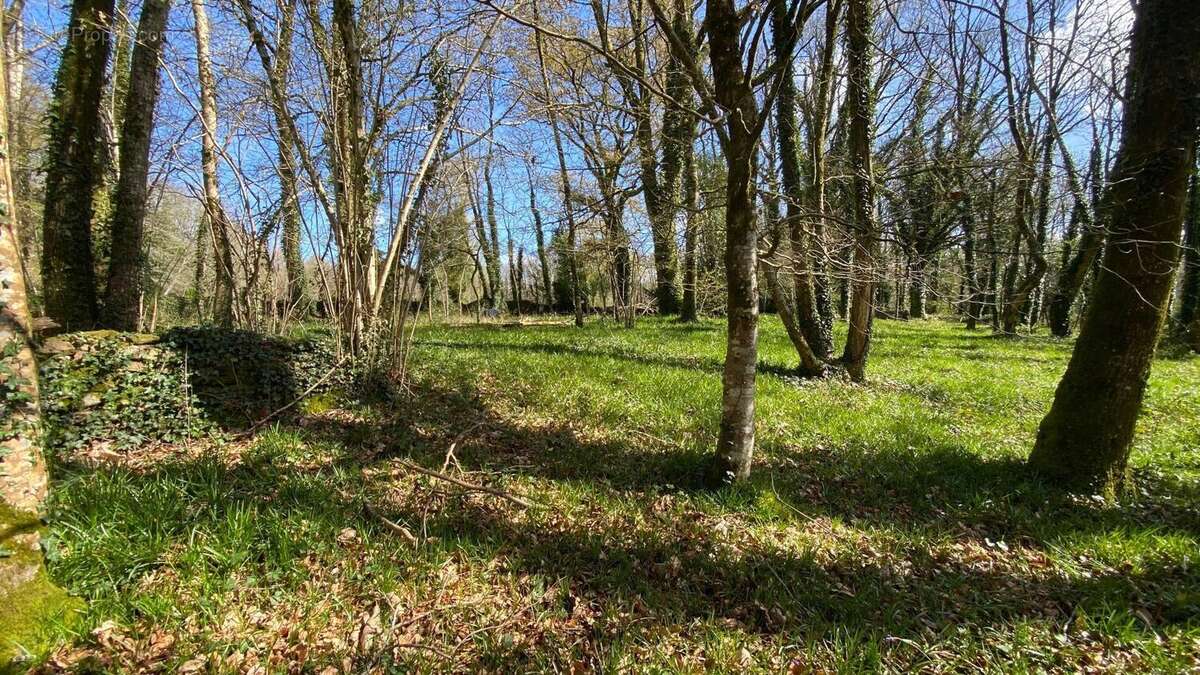 Photo 9 - Maison à PLUVIGNER