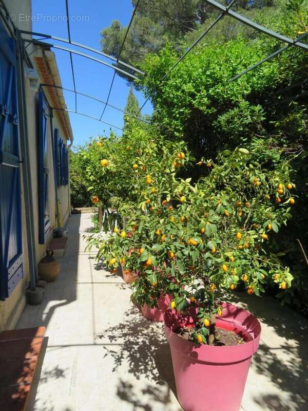   - Maison à DRAGUIGNAN