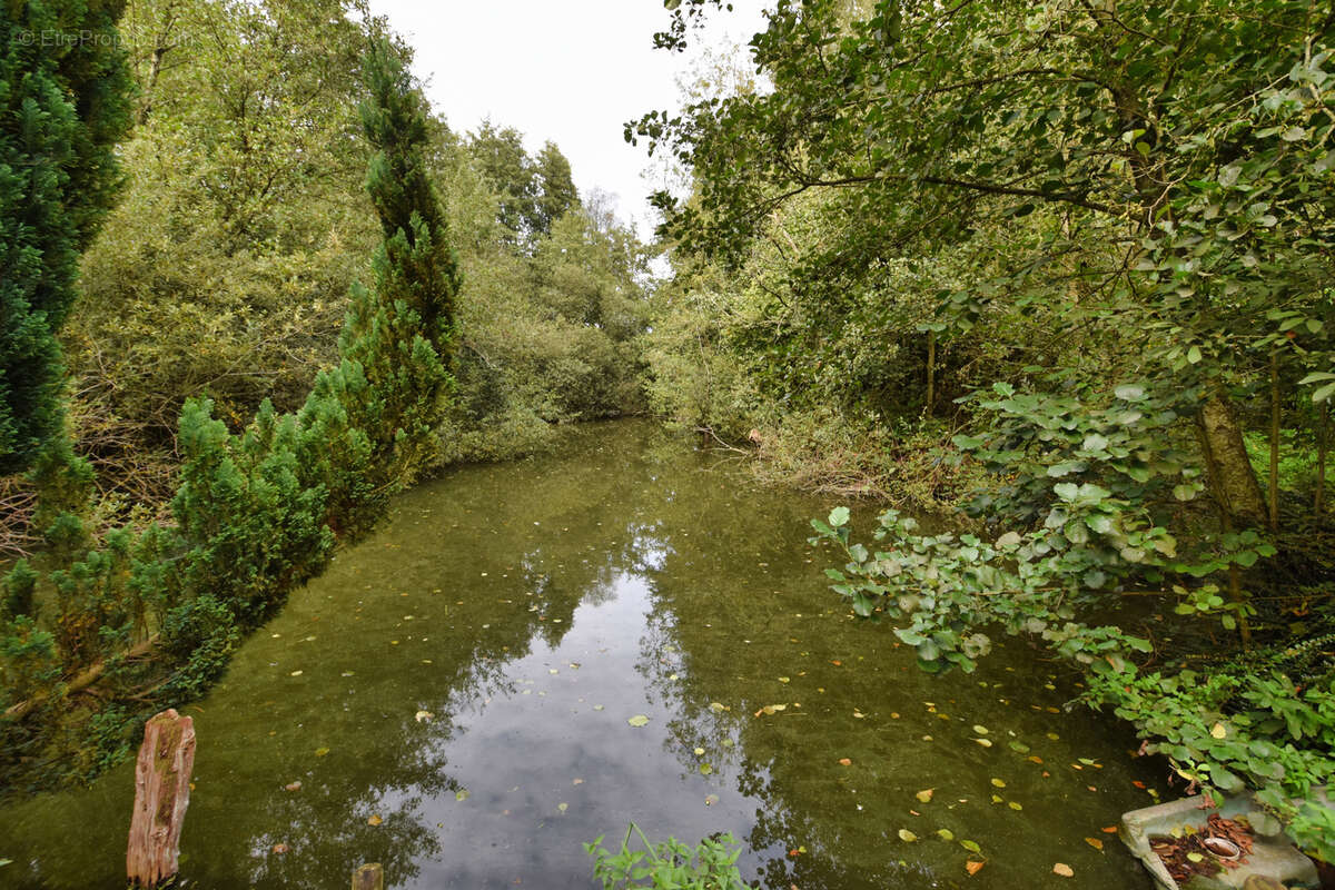 Terrain à FONTAINE-SUR-SOMME