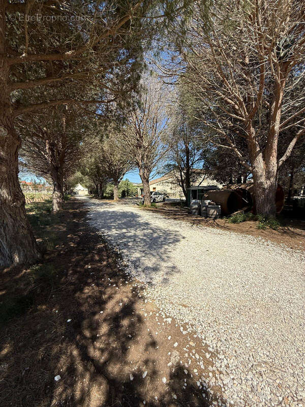 Maison à ESPIRA-DE-L&#039;AGLY