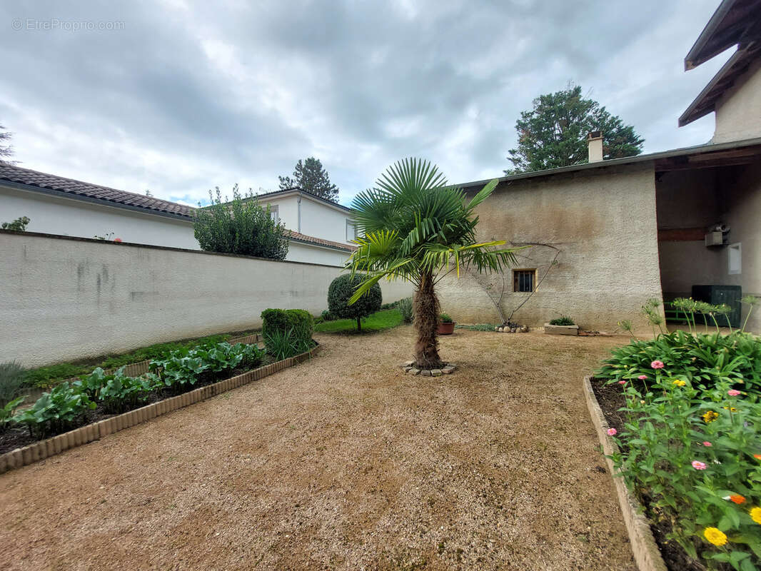 Maison à MESSIMY-SUR-SAONE