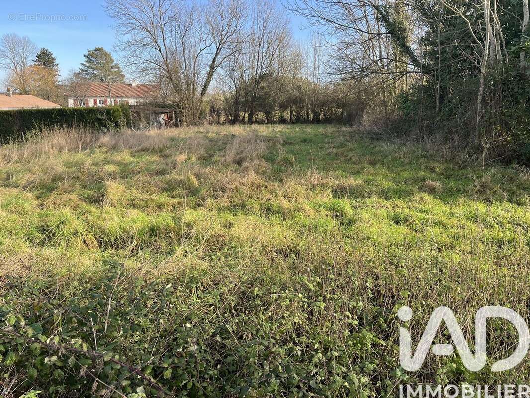 Photo 2 - Terrain à REFFANNES
