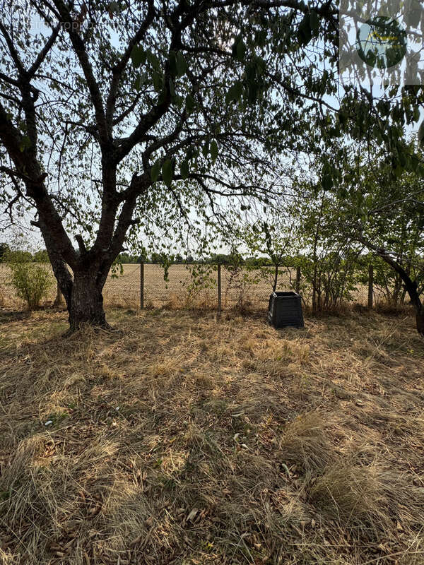 A vendre plain pied 3 chambres - photo 8
