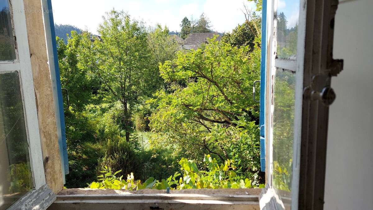 Maison de caractère avec terrain arboré - photo 13