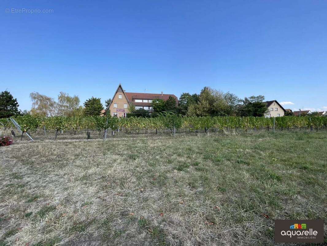 Terrain à SCHERWILLER