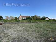 Terrain à SCHERWILLER