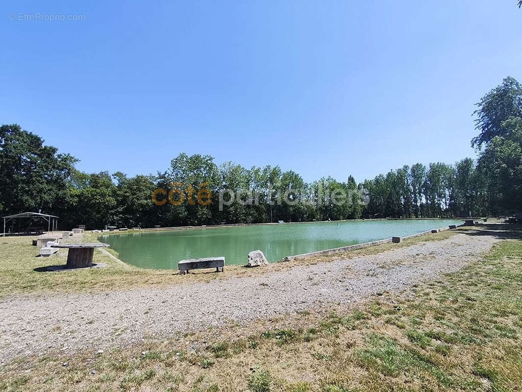 Etang de pêche - photo 3