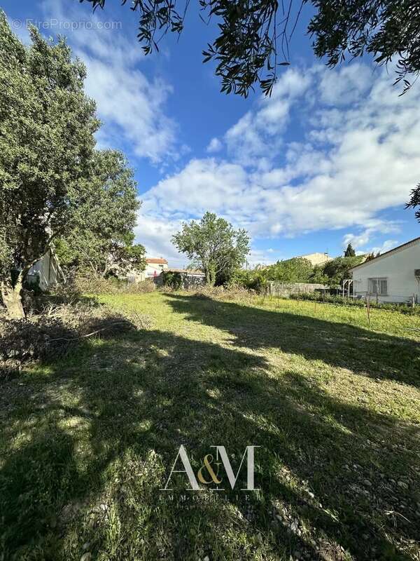 Maison à BALARUC-LE-VIEUX