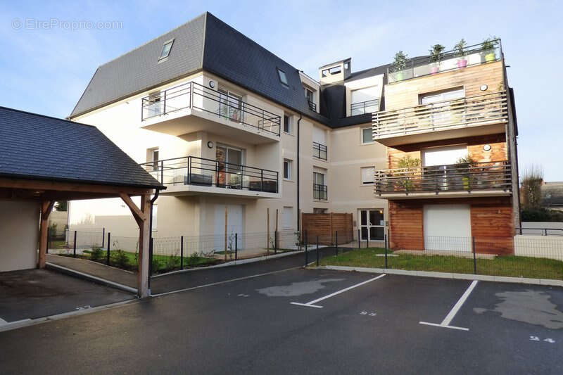 Olivet centre - photo 6