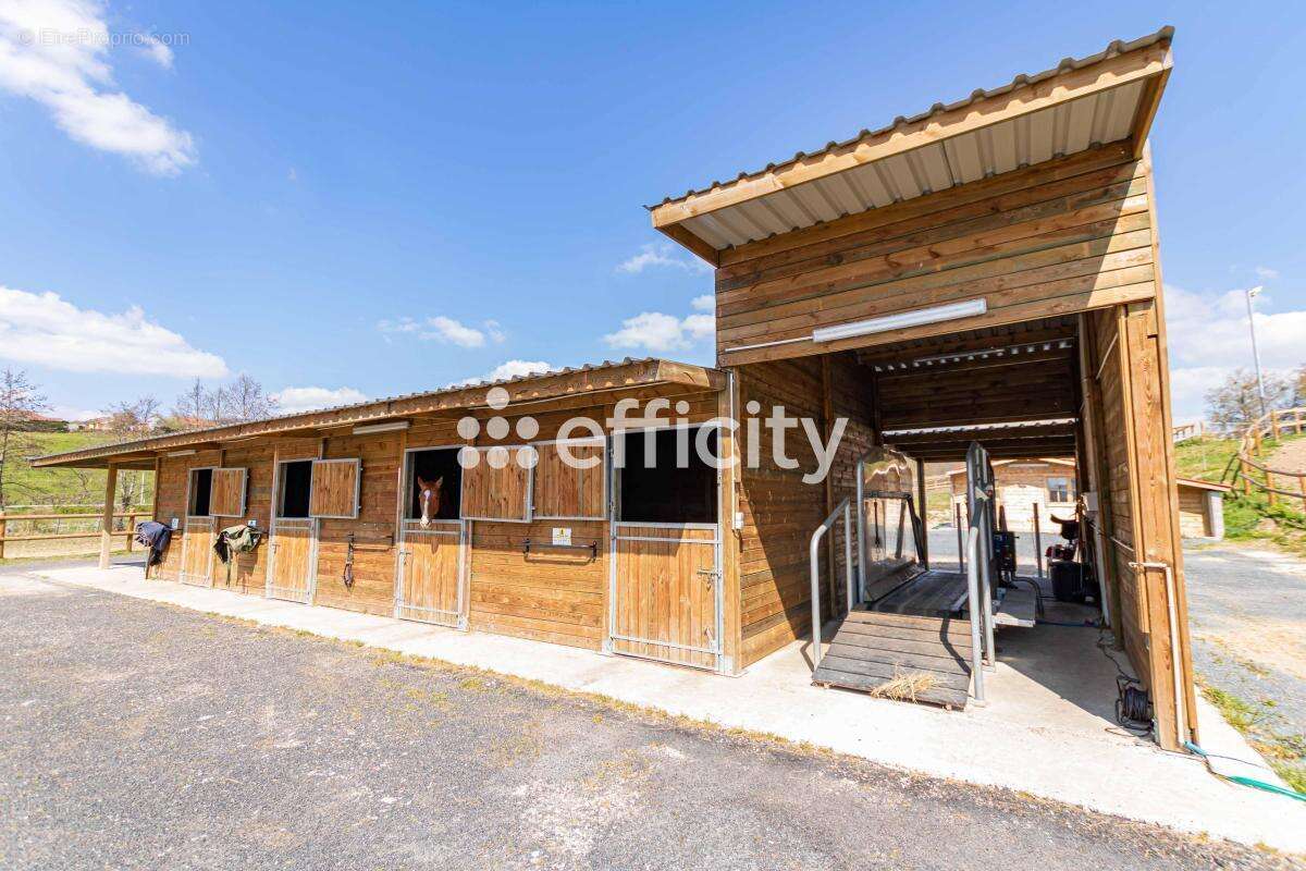 Commerce à SAINT-JEAN-DE-BOURNAY