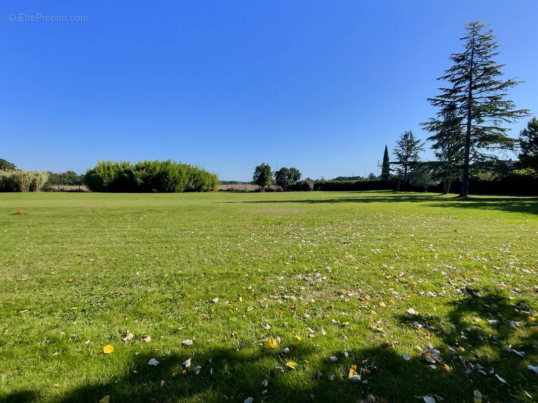 Terrain à LAVAUR