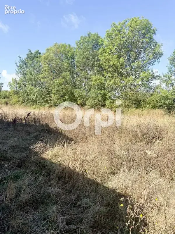 Terrain à SAINT-LAURENT-DE-LA-PREE