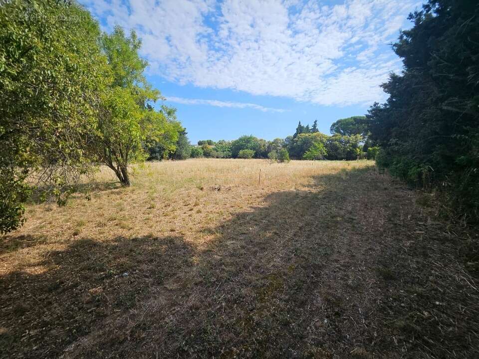 Terrain 780 m² à Fontvieille  - photo 4