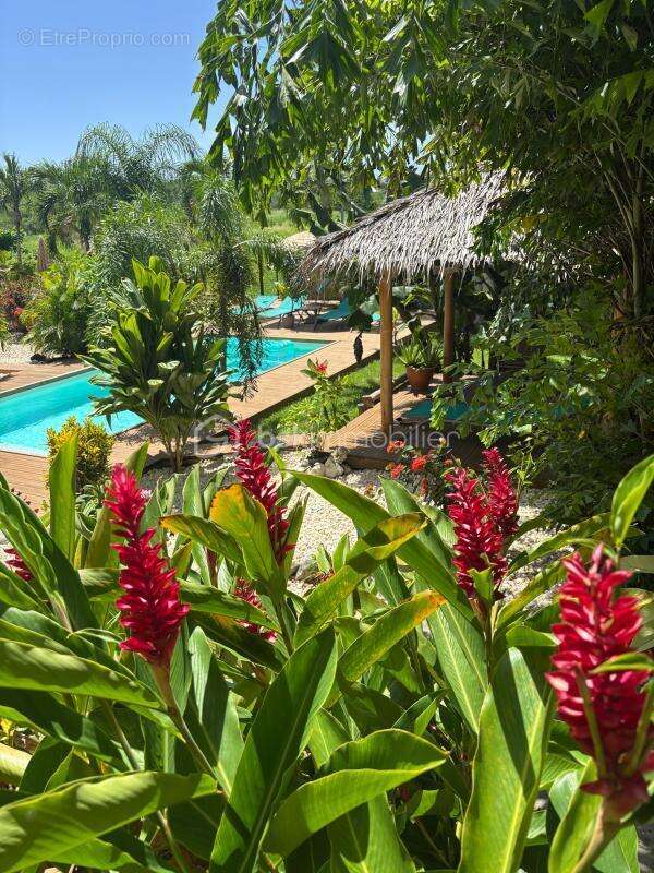 Maison à SAINT-FRANCOIS