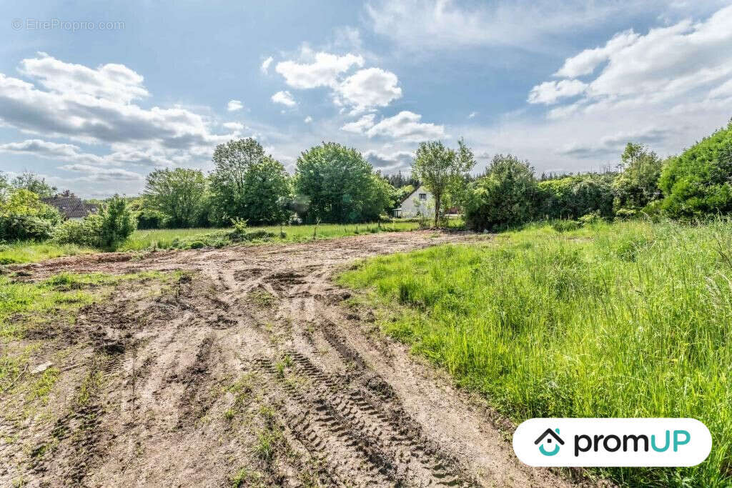 Terrain à LA FERMETE