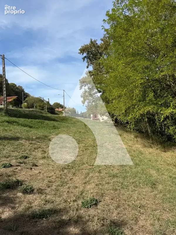 Terrain constructible Saint Lezer 4153 m² (vue Pyrénées) - photo 4