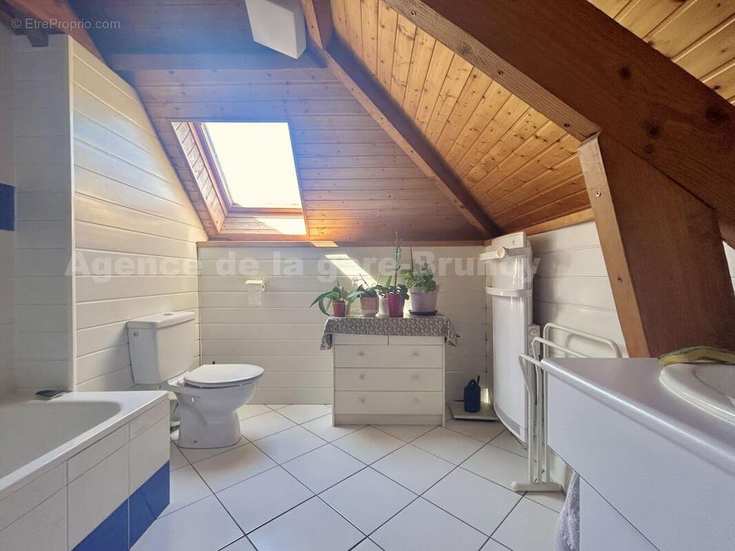 IMG_7209 - Maison à BRUNOY