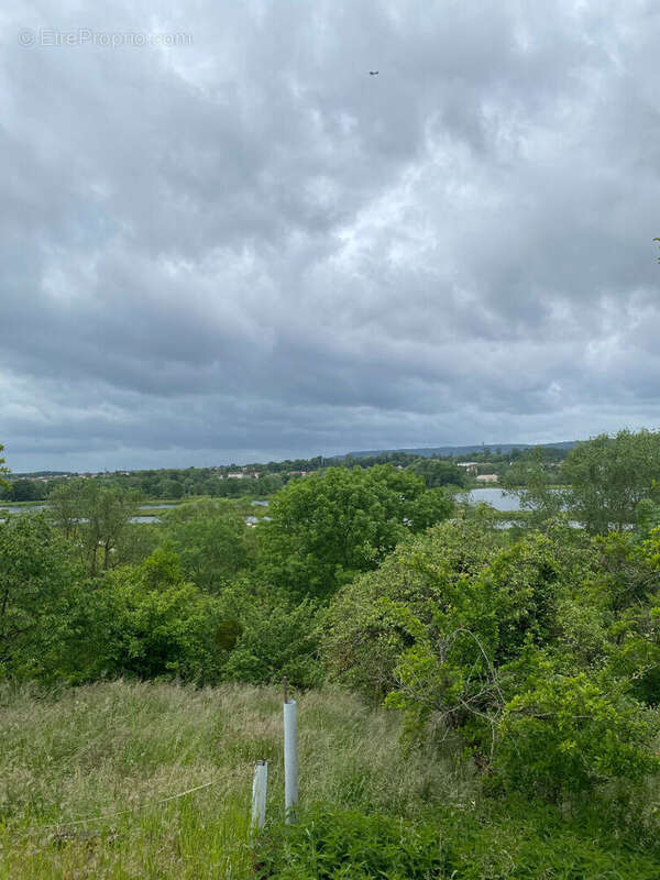 Terrain à ART-SUR-MEURTHE