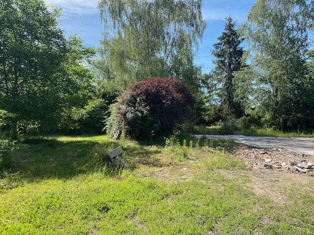 Terrain à BOURG-LE-COMTE