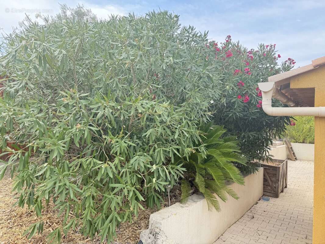 Figanières – Villa de plain-pied avec piscine dans environnement privilégié - photo 12