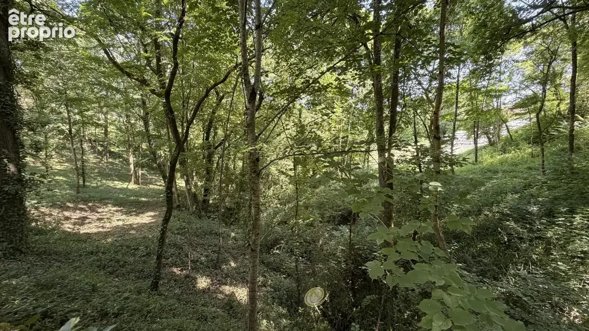 Propriété de caractère avec activité de gîtes sur  environ 10 hectares . - photo 40