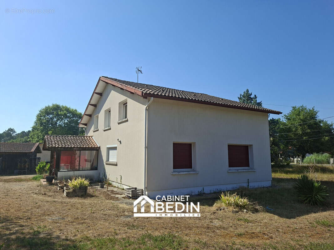 Maison 200 m² à Captieux  - photo 2