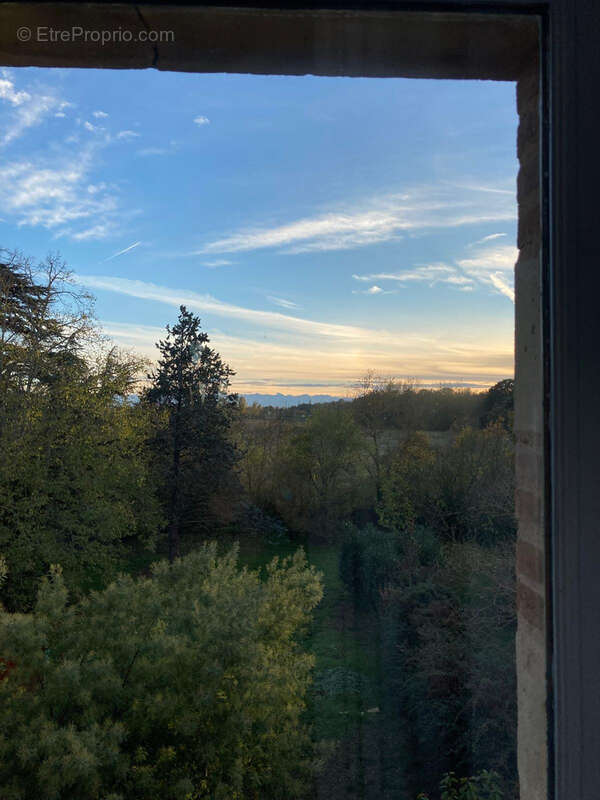 Appartement à MURET