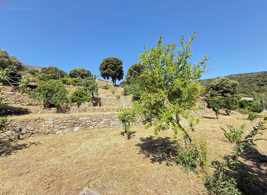 CORSE (20) commune d'ALATA : A vendre magnifique terrain à bâtir, viabilisé - photo 2