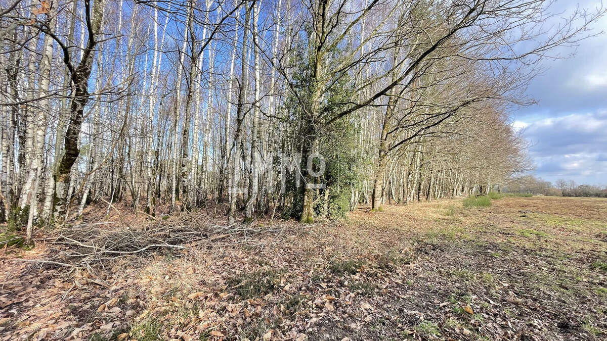 Terrain à LE GRAND-LUCE