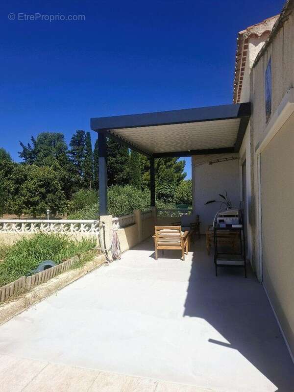 Photo 5