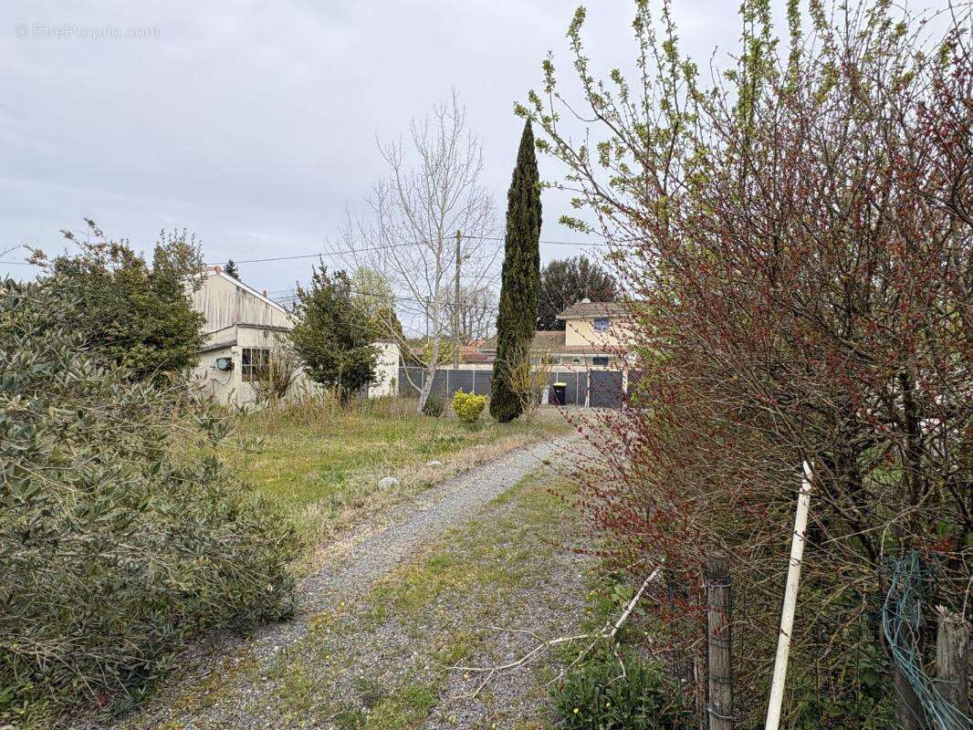 Terrain à CASTELNAU-DE-MEDOC