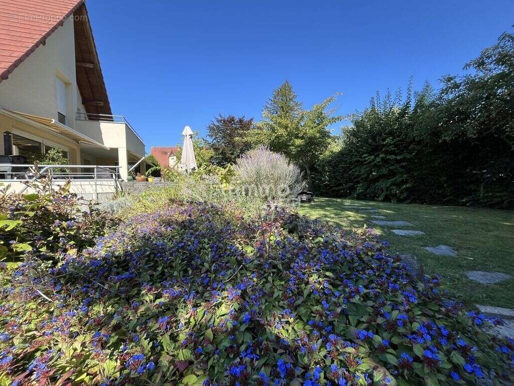 Maison à OSTHOUSE