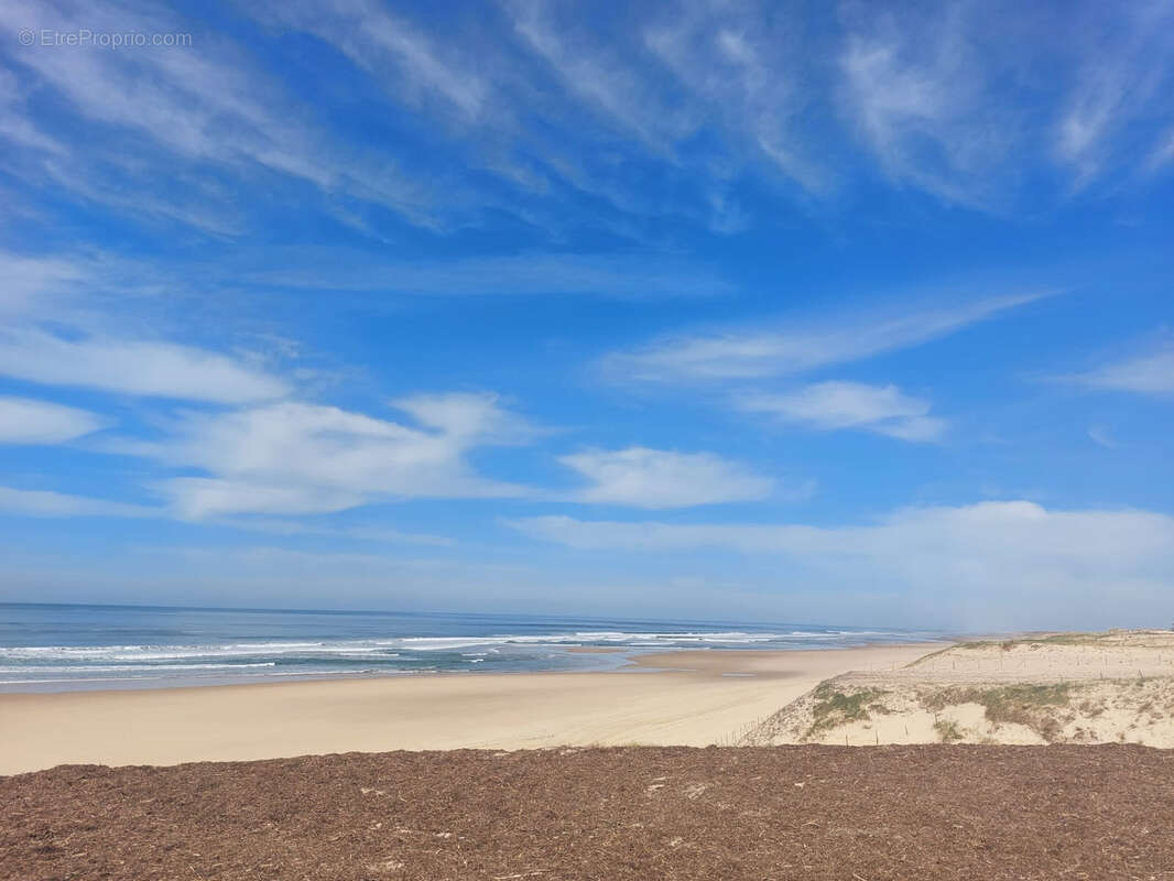 Terrain à SAINT-JULIEN-EN-BORN