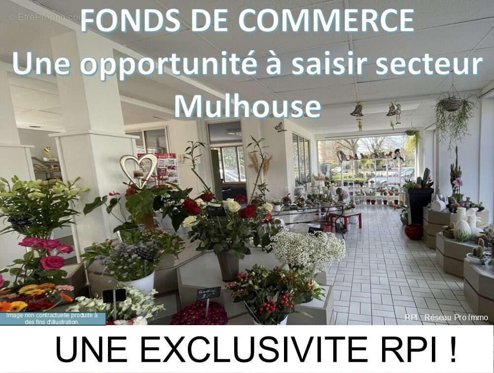 Commerce à MULHOUSE