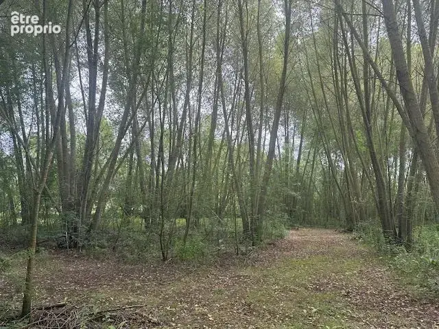Terrain 8 023 m² à vendre à Thire (85210) - photo 6
