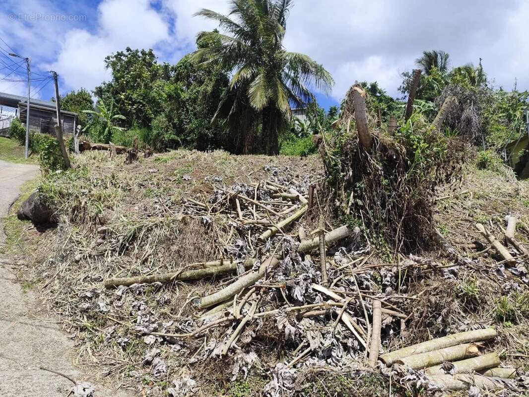 Terrain à FORT-DE-FRANCE