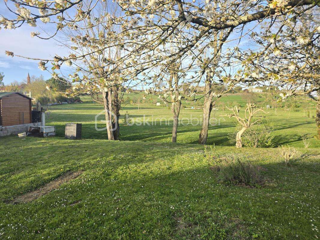 Terrain à BELBERAUD