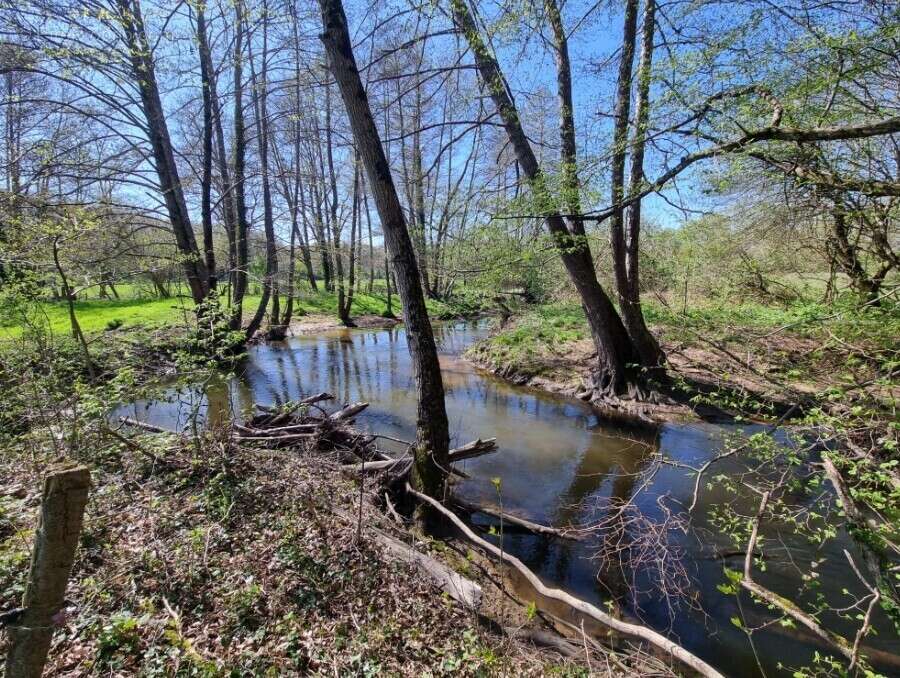 Maison à CHASSIGNOLLES