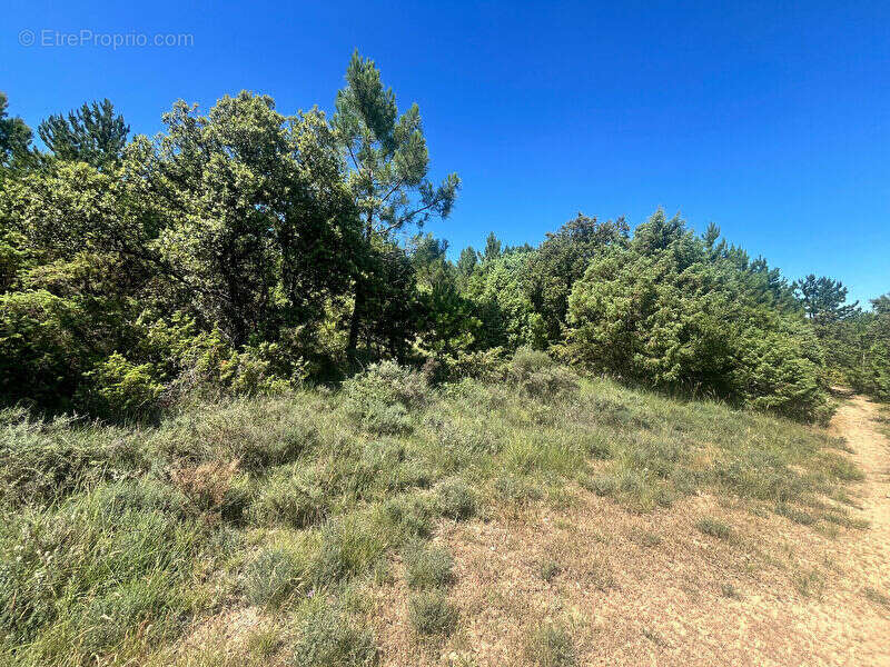 Terrain à CLANSAYES