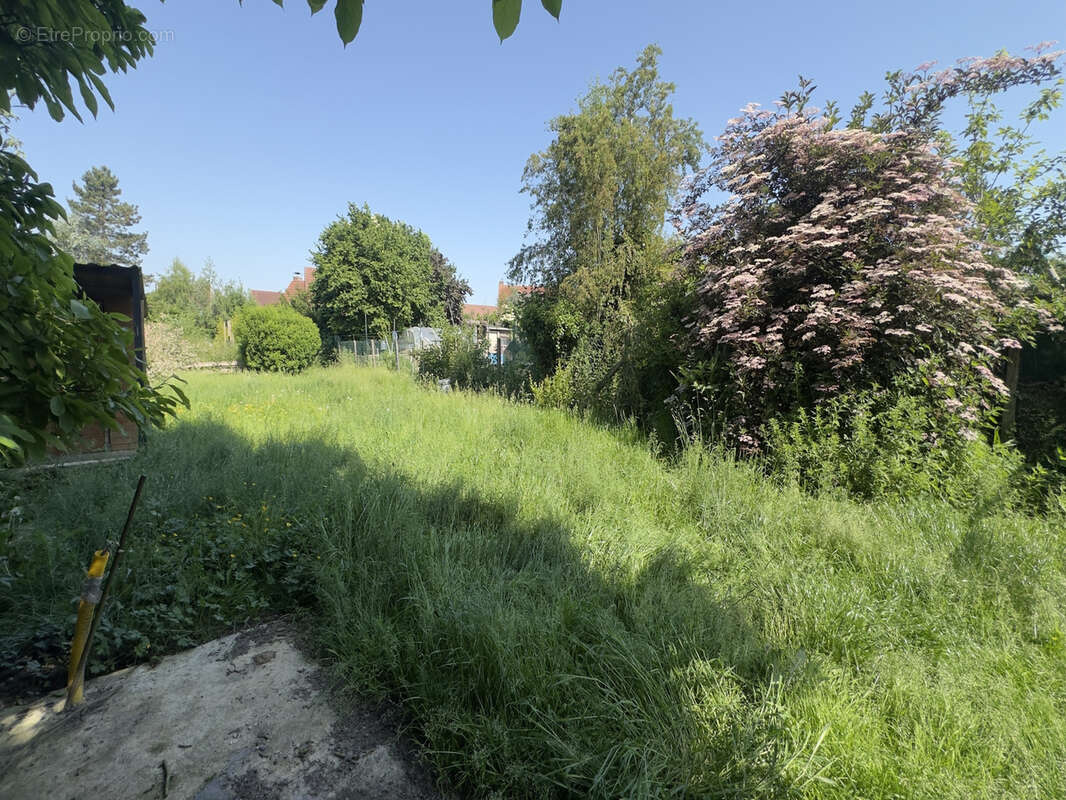 Maison à WILLEMS