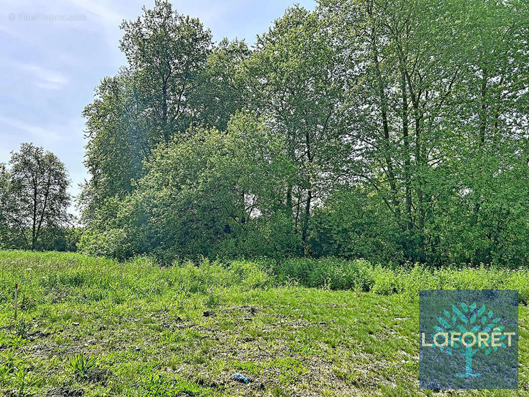 Terrain à SAUGNAC-ET-CAMBRAN